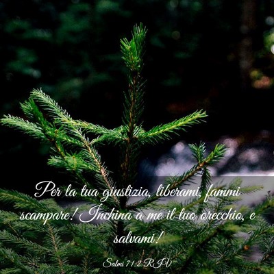 Picture 03 - Salmi 71:2 RIV - Per la tua giustizia, liberami, fammi scampare! - Bible Verse Picture