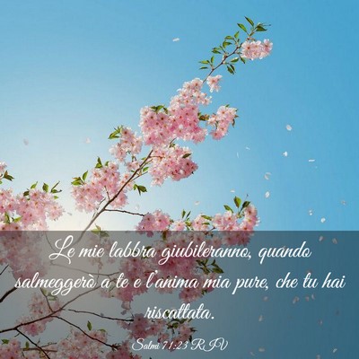 Picture 03 - Salmi 71:23 RIV - Le mie labbra giubileranno, quando salmeggerò a - Bible Verse Picture