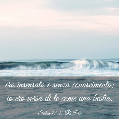 Picture 03 - Salmi 73:22 RIV - ero insensato e senza conoscimento; io ero verso - Bible Verse Picture