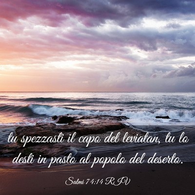 Picture 03 - Salmi 74:14 RIV - tu spezzasti il capo del leviatan, tu lo desti in - Bible Verse Picture