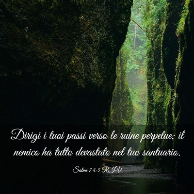 Picture 03 - Salmi 74:3 RIV - Dirigi i tuoi passi verso le ruine perpetue; il - Bible Verse Picture