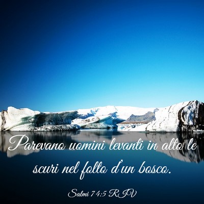 Picture 03 - Salmi 74:5 RIV - Parevano uomini levanti in alto le scuri nel - Bible Verse Picture