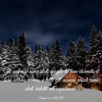 Picture 03 - Salmi 76:5 RIV - Gli animosi sono stati spogliati, han dormito il - Bible Verse Picture