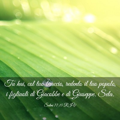 Picture 03 - Salmi 77:15 RIV - Tu hai, col tuo braccio, redento il tuo popolo, i - Bible Verse Picture