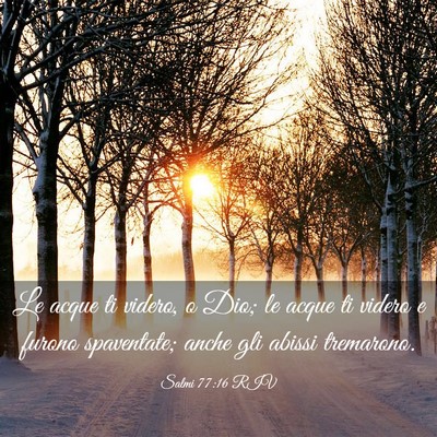 Picture 03 - Salmi 77:16 RIV - Le acque ti videro, o Dio; le acque ti videro e - Bible Verse Picture