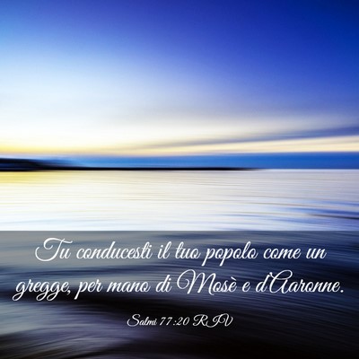 Picture 03 - Salmi 77:20 RIV - Tu conducesti il tuo popolo come un gregge, per - Bible Verse Picture