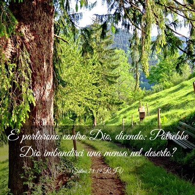 Picture 03 - Salmi 78:19 RIV - E parlarono contro Dio, dicendo: Potrebbe Dio - Bible Verse Picture
