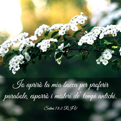 Picture 03 - Salmi 78:2 RIV - Io aprirò la mia bocca per proferir parabole, - Bible Verse Picture