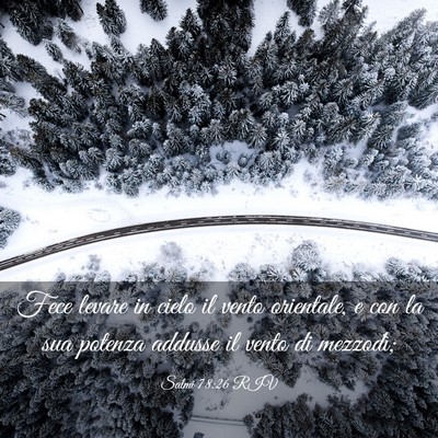 Picture 03 - Salmi 78:26 RIV - Fece levare in cielo il vento orientale, e con la - Bible Verse Picture