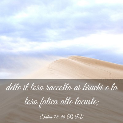 Picture 03 - Salmi 78:46 RIV - dette il loro raccolto ai bruchi e la loro fatica - Bible Verse Picture