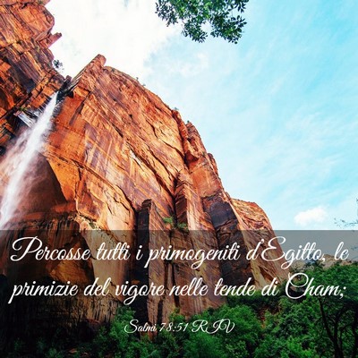 Picture 03 - Salmi 78:51 RIV - Percosse tutti i primogeniti d’Egitto, le - Bible Verse Picture