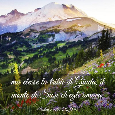 Picture 03 - Salmi 78:68 RIV - ma elesse la tribù di Giuda, il monte di Sion - Bible Verse Picture