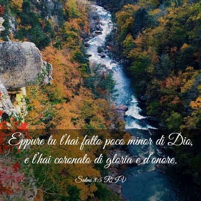 Picture 03 - Salmi 8:5 RIV - Eppure tu l’hai fatto poco minor di Dio, e - Bible Verse Picture