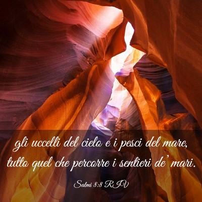 Picture 03 - Salmi 8:8 RIV - gli uccelli del cielo e i pesci del mare, tutto - Bible Verse Picture