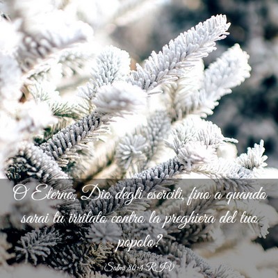 Picture 03 - Salmi 80:4 RIV - O Eterno, Dio degli eserciti, fino a quando sarai - Bible Verse Picture
