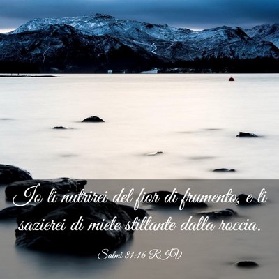 Picture 03 - Salmi 81:16 RIV - Io li nutrirei del fior di frumento, e li - Bible Verse Picture