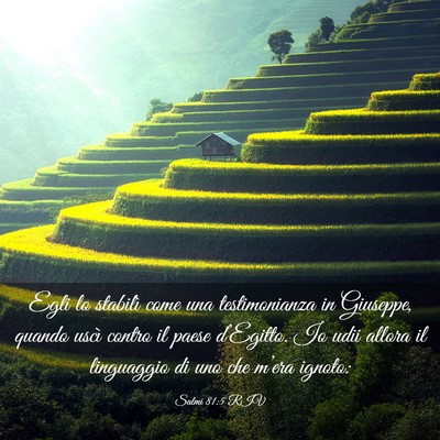 Picture 03 - Salmi 81:5 RIV - Egli lo stabilì come una testimonianza in - Bible Verse Picture
