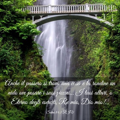 Picture 03 - Salmi 84:3 RIV - Anche il passero si trova una casa e la rondine - Bible Verse Picture