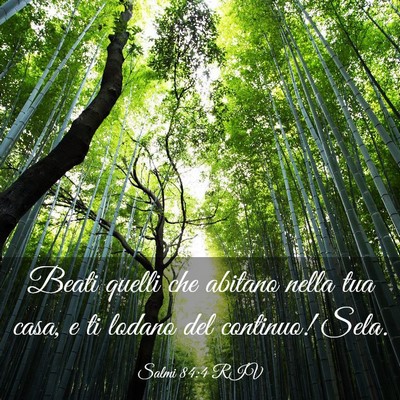 Picture 03 - Salmi 84:4 RIV - Beati quelli che abitano nella tua casa, e ti - Bible Verse Picture