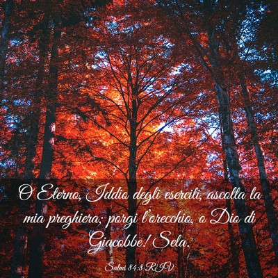 Picture 03 - Salmi 84:8 RIV - O Eterno, Iddio degli eserciti, ascolta la mia - Bible Verse Picture