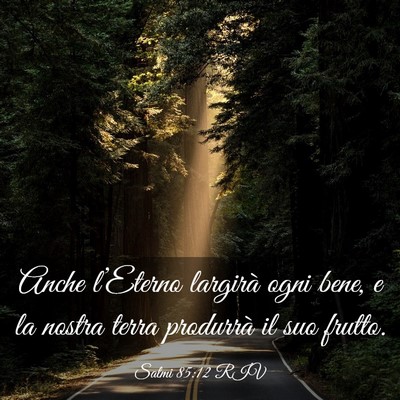 Picture 03 - Salmi 85:12 RIV - Anche l’Eterno largirà ogni bene, e la nostra - Bible Verse Picture