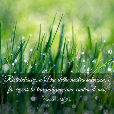 Picture 03 - Salmi 85:4 RIV - Ristabiliscici, o Dio della nostra salvezza, e - Bible Verse Picture