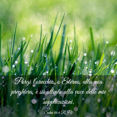 Picture 03 - Salmi 86:6 RIV - Porgi l’orecchio, o Eterno, alla mia preghiera, - Bible Verse Picture
