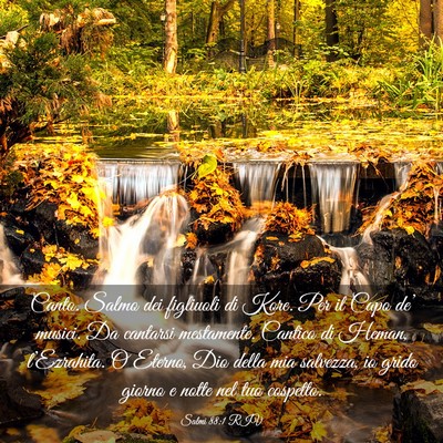Picture 03 - Salmi 88:1 RIV - Canto. Salmo dei figliuoli di Kore. Per il Capo - Bible Verse Picture