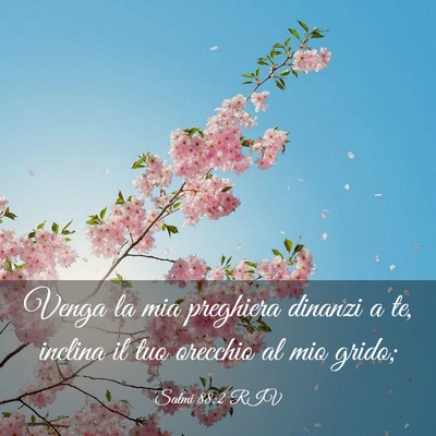Picture 03 - Salmi 88:2 RIV - Venga la mia preghiera dinanzi a te, inclina il - Bible Verse Picture
