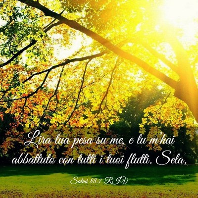 Picture 03 - Salmi 88:7 RIV - L’ira tua pesa su me, e tu m’hai abbattuto - Bible Verse Picture