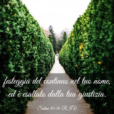 Picture 03 - Salmi 89:16 RIV - festeggia del continuo nel tuo nome, ed è - Bible Verse Picture