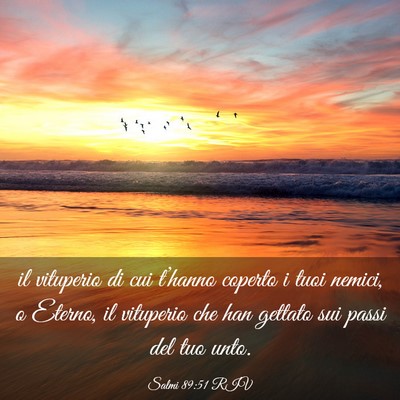 Picture 03 - Salmi 89:51 RIV - il vituperio di cui t’hanno coperto i tuoi - Bible Verse Picture