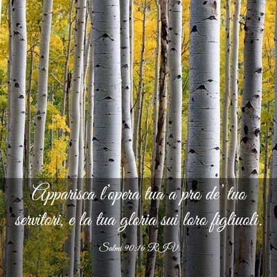 Picture 03 - Salmi 90:16 RIV - Apparisca l’opera tua a pro de’ tuo - Bible Verse Picture