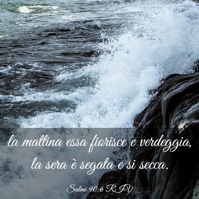 Picture 03 - Salmi 90:6 RIV - la mattina essa fiorisce e verdeggia, la sera è - Bible Verse Picture