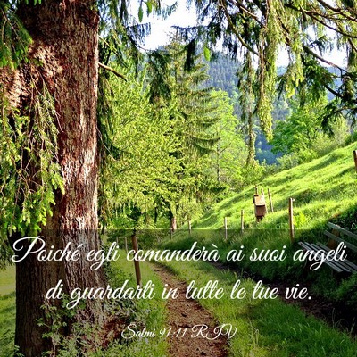 Picture 03 - Salmi 91:11 RIV - Poiché egli comanderà ai suoi angeli di - Bible Verse Picture