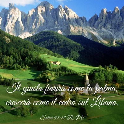 Picture 03 - Salmi 92:12 RIV - Il giusto fiorirà come la palma, crescerà come - Bible Verse Picture