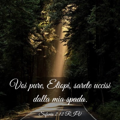 Picture 03 - Sofonia 2:12 RIV - Voi pure, Etiopi, sarete uccisi dalla mia - Bible Verse Picture