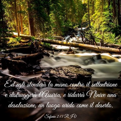Picture 03 - Sofonia 2:13 RIV - Ed egli stenderà la mano contro il settentrione - Bible Verse Picture