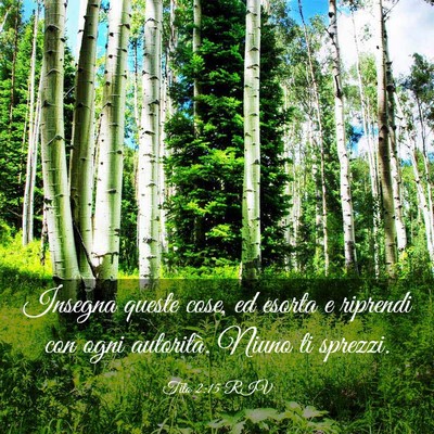 Picture 03 - Tito 2:15 RIV - Insegna queste cose, ed esorta e riprendi con - Bible Verse Picture