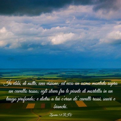 Picture 03 - Zaccaria 1:8 RIV - Io ebbi, di notte, una visione; ed ecco un uomo - Bible Verse Picture