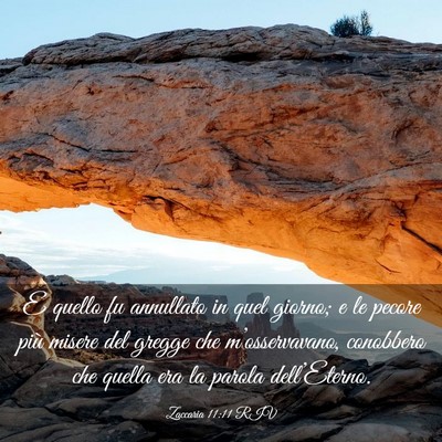 Picture 03 - Zaccaria 11:11 RIV - E quello fu annullato in quel giorno; e le pecore - Bible Verse Picture