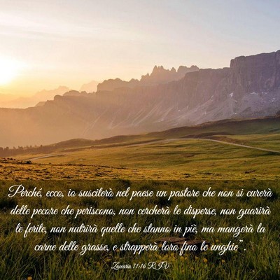 Picture 03 - Zaccaria 11:16 RIV - Perché, ecco, io susciterò nel paese un pastore - Bible Verse Picture