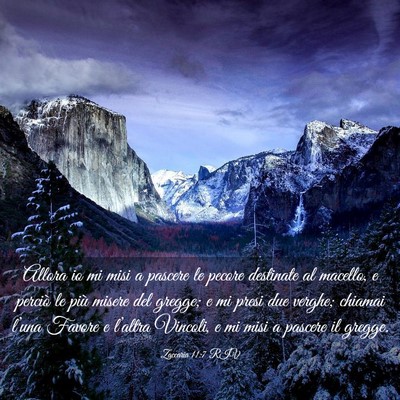 Picture 03 - Zaccaria 11:7 RIV - Allora io mi misi a pascere le pecore destinate - Bible Verse Picture