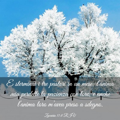 Picture 03 - Zaccaria 11:8 RIV - E sterminai i tre pastori in un mese; l’anima - Bible Verse Picture