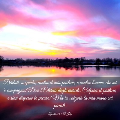 Picture 03 - Zaccaria 13:7 RIV - Dèstati, o spada, contro il mio pastore, e - Bible Verse Picture
