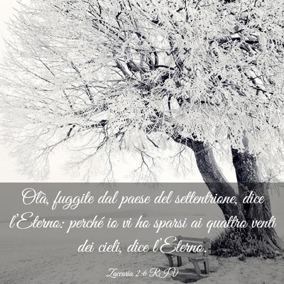 Picture 03 - Zaccaria 2:6 RIV - Olà, fuggite dal paese del settentrione, dice - Bible Verse Picture
