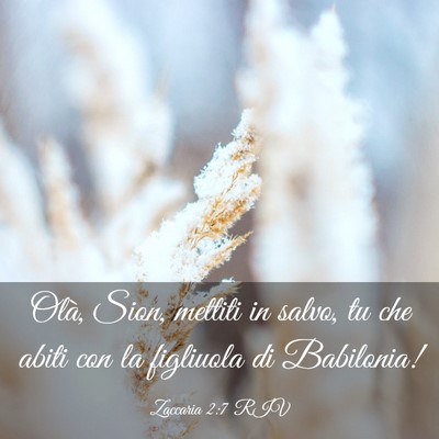 Picture 03 - Zaccaria 2:7 RIV - Olà, Sion, mettiti in salvo, tu che abiti con la - Bible Verse Picture