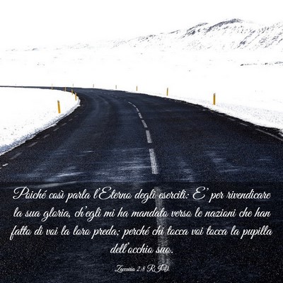 Picture 03 - Zaccaria 2:8 RIV - Poiché così parla l’Eterno degli eserciti: - Bible Verse Picture