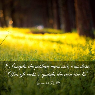 Picture 03 - Zaccaria 5:5 RIV - E l’angelo che parlava meco uscì, e mi disse: - Bible Verse Picture