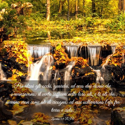 Picture 03 - Zaccaria 5:9 RIV - Poi alzai gli occhi, guardai, ed ecco due donne - Bible Verse Picture